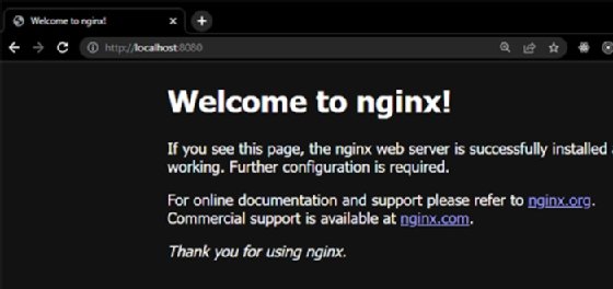 Screenshot of the 'Welcome to Nginx!' page