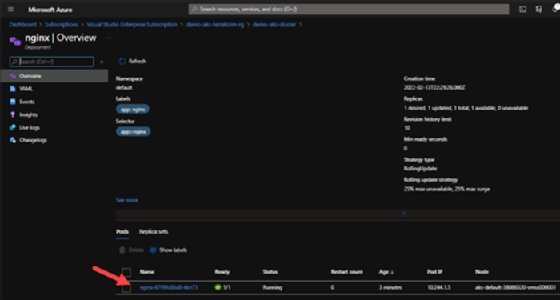 Abbildung 8. Das Azure-Portal zeigt den bereitgestellten Container.