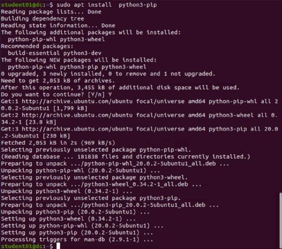 Screenshot of pip installation code.
