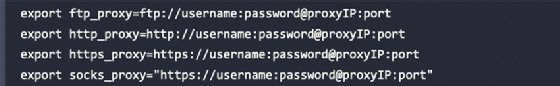 Screenshot of commands to add to bash file for network proxy settings