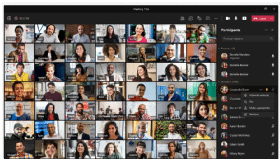 A Microsoft Teams meeting