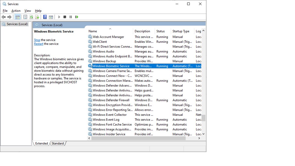 What Is Service Host Windows Biometric Service at William Sherrill blog