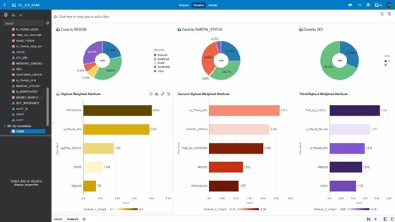 Oracle data store visualization machine learning