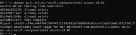 Abbildung 2: So laden Sie gezielt Ubuntu 18.04 mit PowerShell.