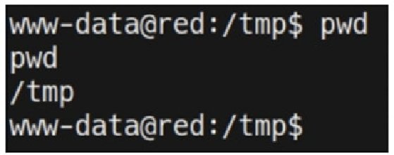 Screenshot of Linux temp directory