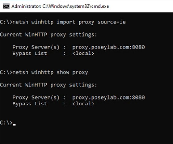 cmd command to check proxy settings