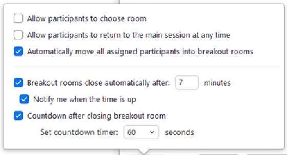 Zoom breakout room options
