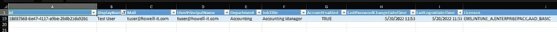Excel user report