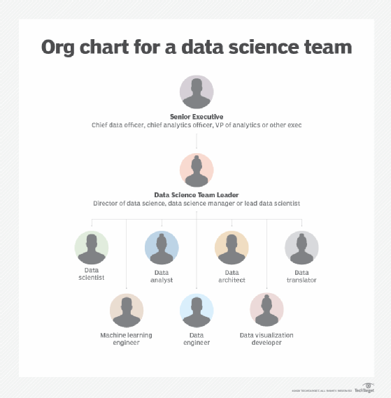 Example of an organizational chart for a data science team