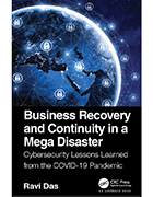 Business Recovery and Continuity in a Mega Disaster book cover