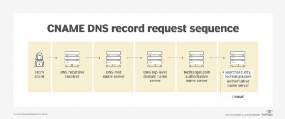 How does the Domain Name System (DNS) work? - The Security Buddy