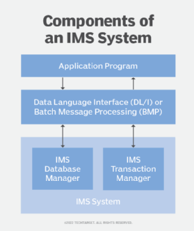 How to Log in to Office 365  Information Management Systems and