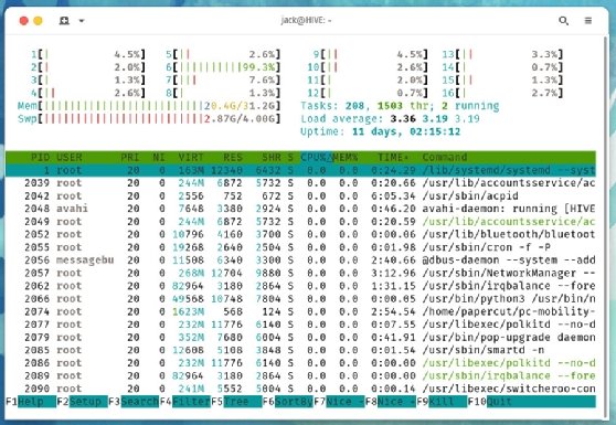 htop command output