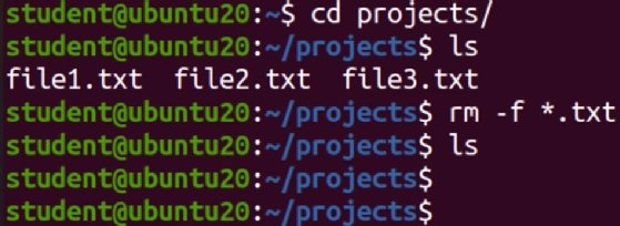 Screenshot of code snippet deleting three text files.