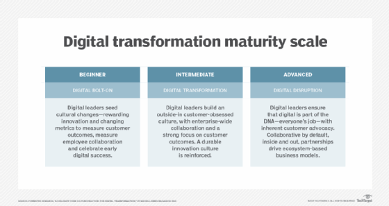 Digital transformation maturity scale