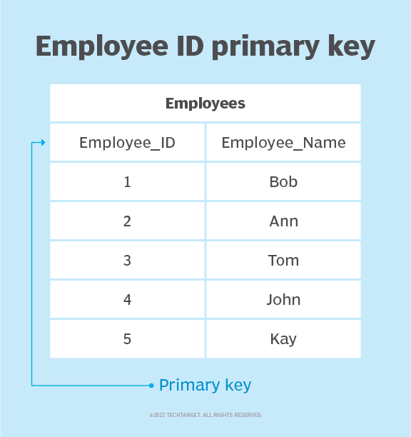 What is a Primary Key? Definition from