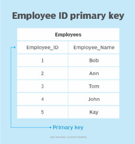 What is a Primary Key Definition from WhatIs