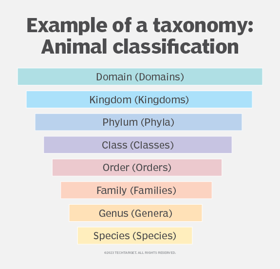 What is taxonomy? | Definition from TechTarget