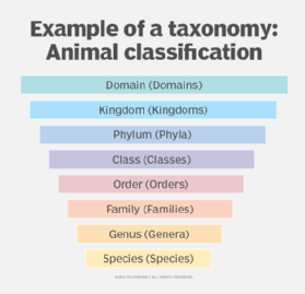 the taxonomic hierarchy diagram