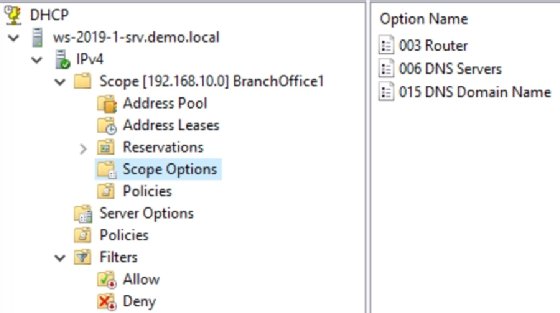 Screenshot of DHCP Scope Options expanded.