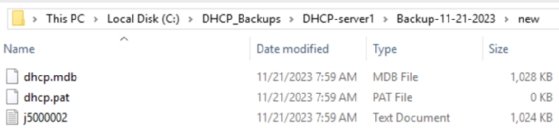 Screenshot of DHCP database files.
