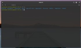 Abbildung 1: Bei Elementary OS zeigt die Bash alle Verzeichnisse in Blau an.