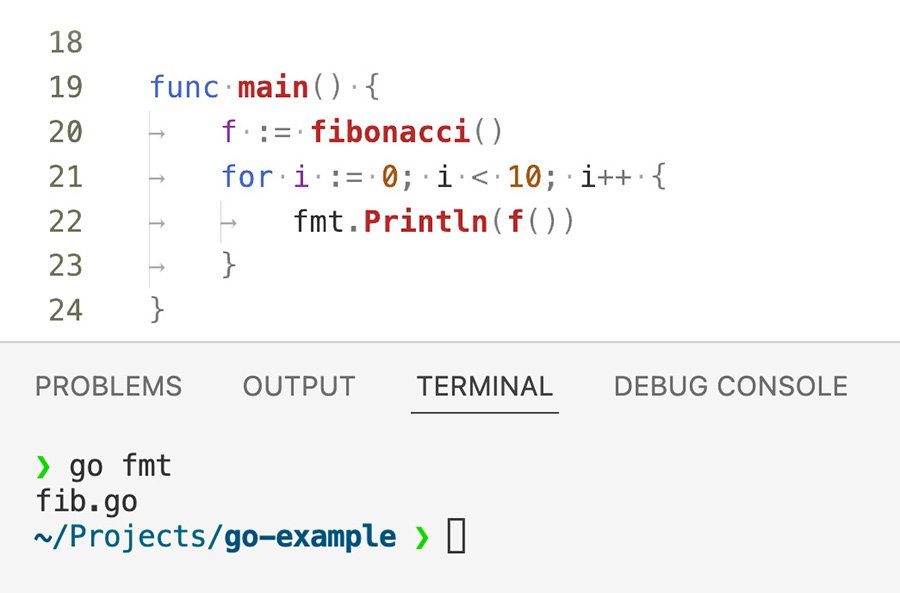 golang function assignment