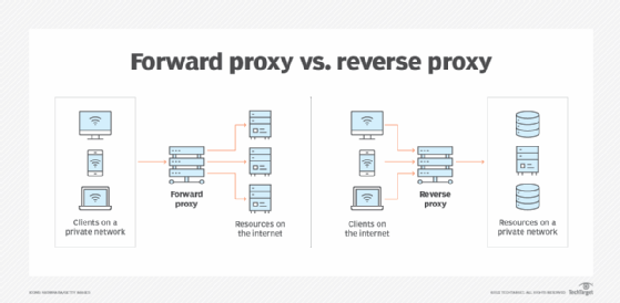 What is a Reverse Proxy Server? Learn How they Protect You