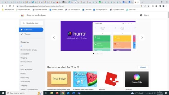 Chrome Web Store, Software