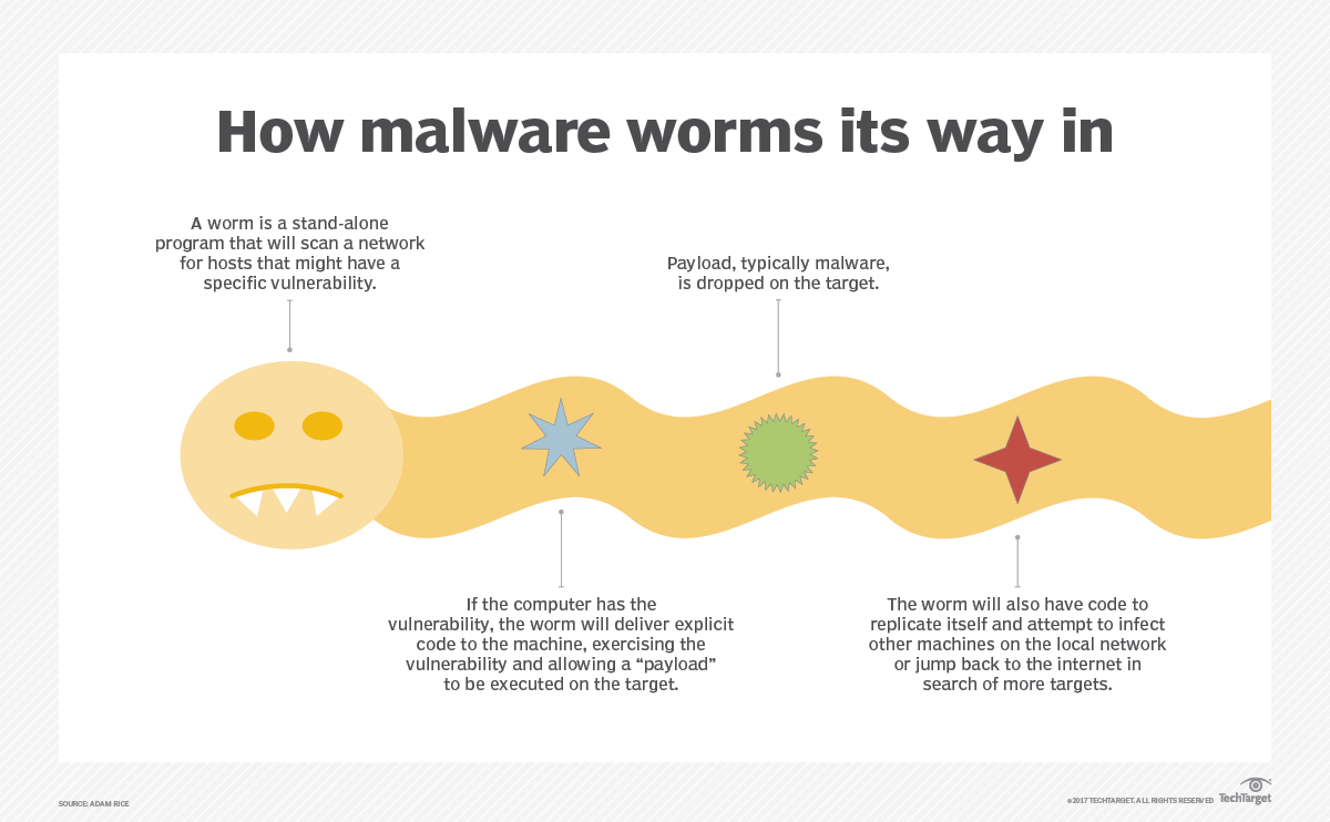 What Is A Computer Worm And How Does It Work