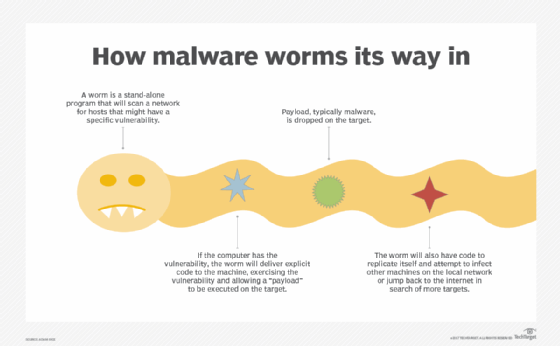 computer worm diagram