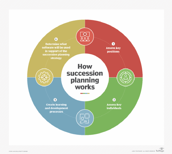 The basic steps of succession planning.
