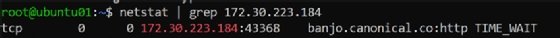 The screenshot shows the output of running a Bash command that parses netstat output to find a particular IP address using grep.