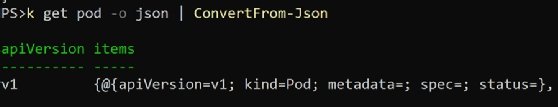 The screenshot shows the results of running a command to produce a list of pods in the Kubernetes API.