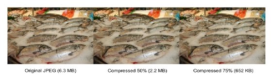 Image showing JPEG image compression comparison