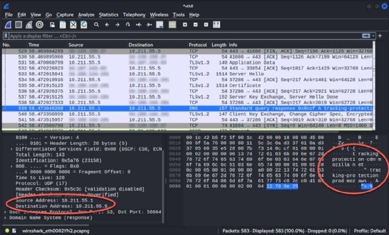 Wireshark's UI displaying addressing information.