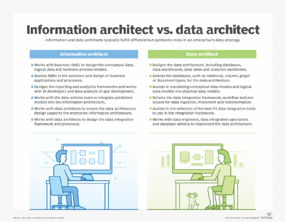 Information architect vs. data architect graphic