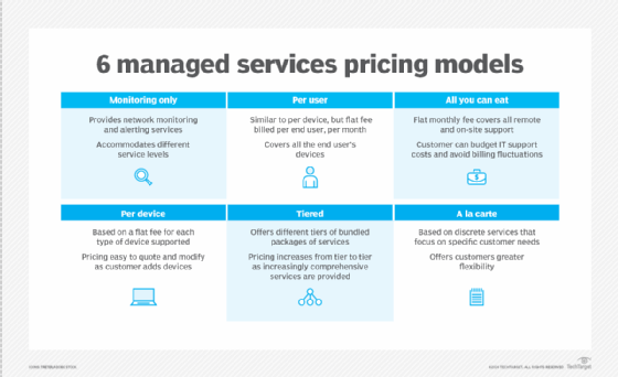 it services business model