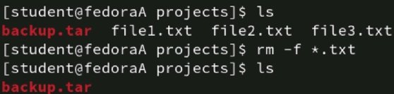 Accidental deletion output screenshot.