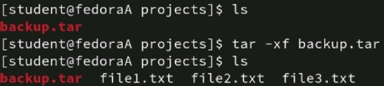 Extract files output screenshot.