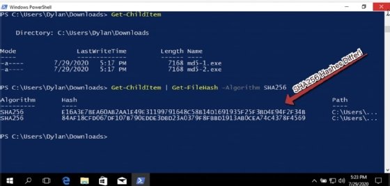 Screenshot of Get-FileHash with SHA256 sums