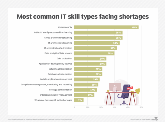 top areas of the IT skills shortage