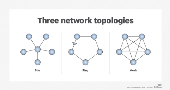 What is a bus network?