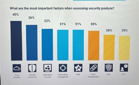 Panaseer chart of the most important factors when assessing security posture