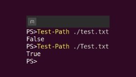 The screenshot displays that running a script for Test.txt returns True.