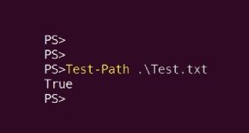 The screenshot displays that the system will return True when testing for a .\Test.txt file on Linux.