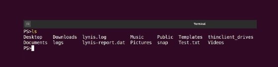 The screenshot displays the results of running the ls command on Ubuntu.