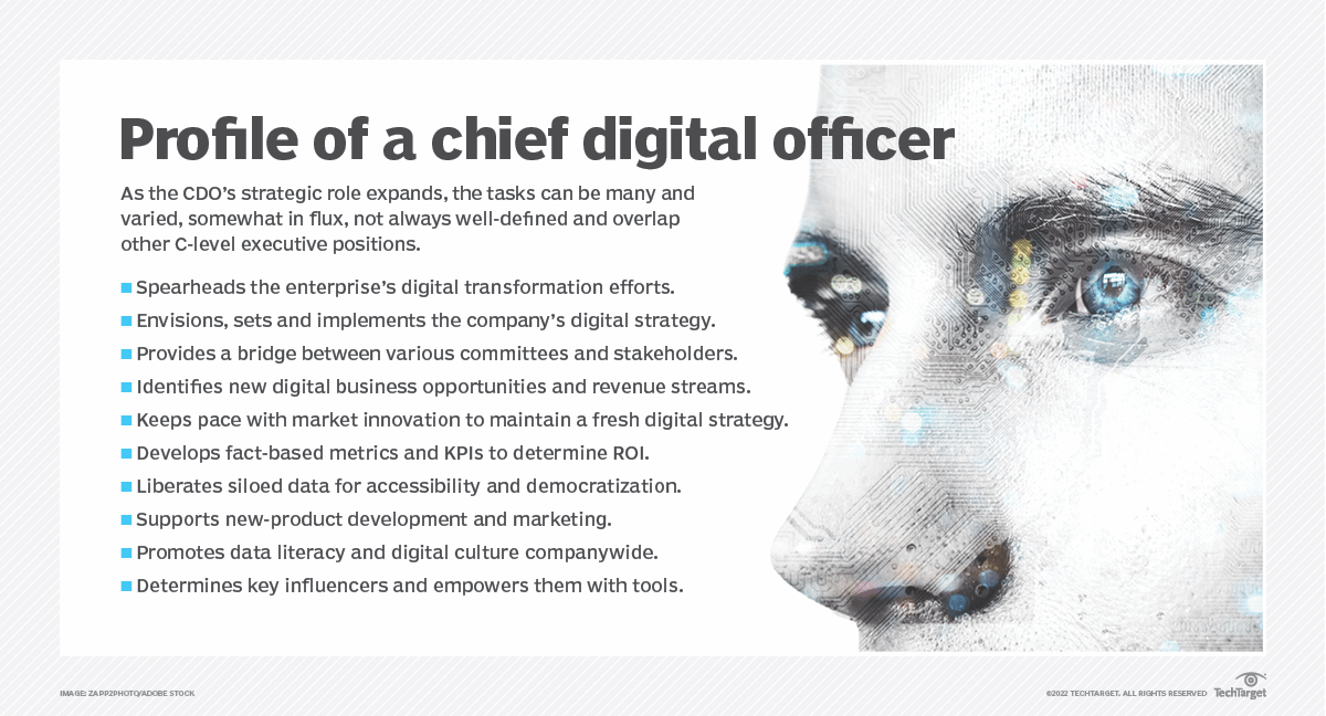 become-a-chief-digital-officer