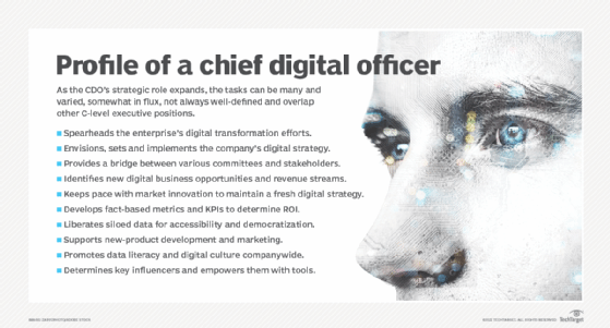 Chief Digital Officer Role